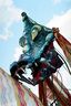 gal/woodstock 07/_thb_small-86730025.jpg